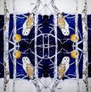 116 Eulen-lagig - Kalamazoo - CS - 24x24cm